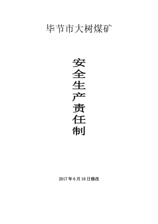 2017年度安全生产责任制