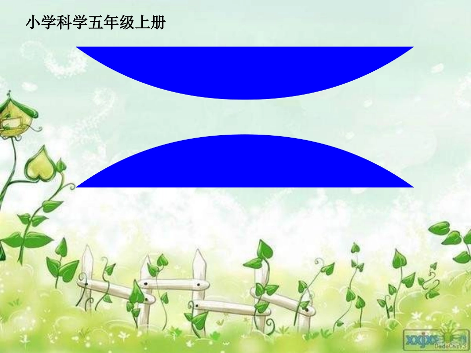 《食物链和食物网》PPT课件_第1页