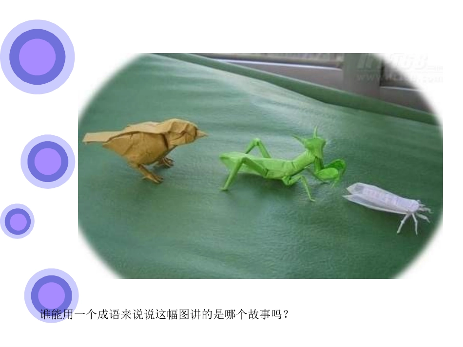 《食物链和食物网》PPT课件_第2页