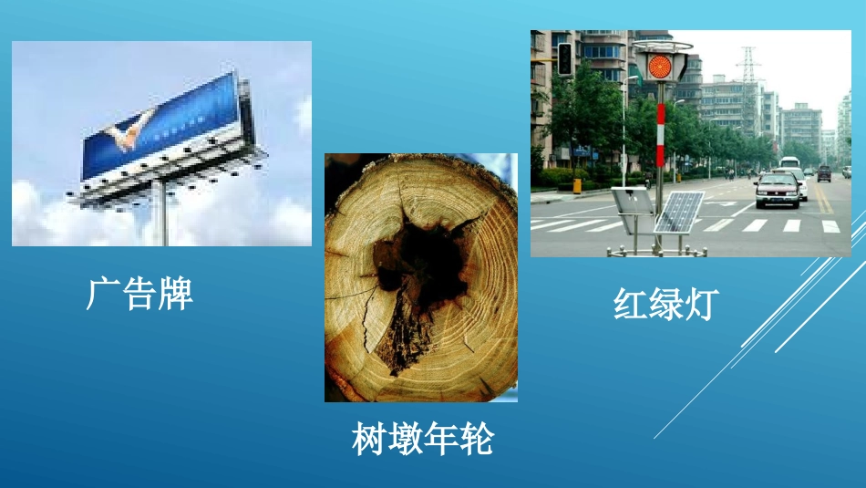 丰富多彩的信息世界_第2页