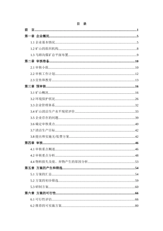 清洁生产审核报告(修改后)