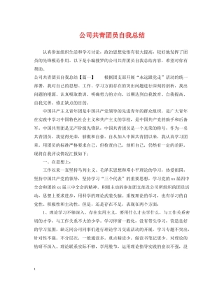 公司共青团员自我总结