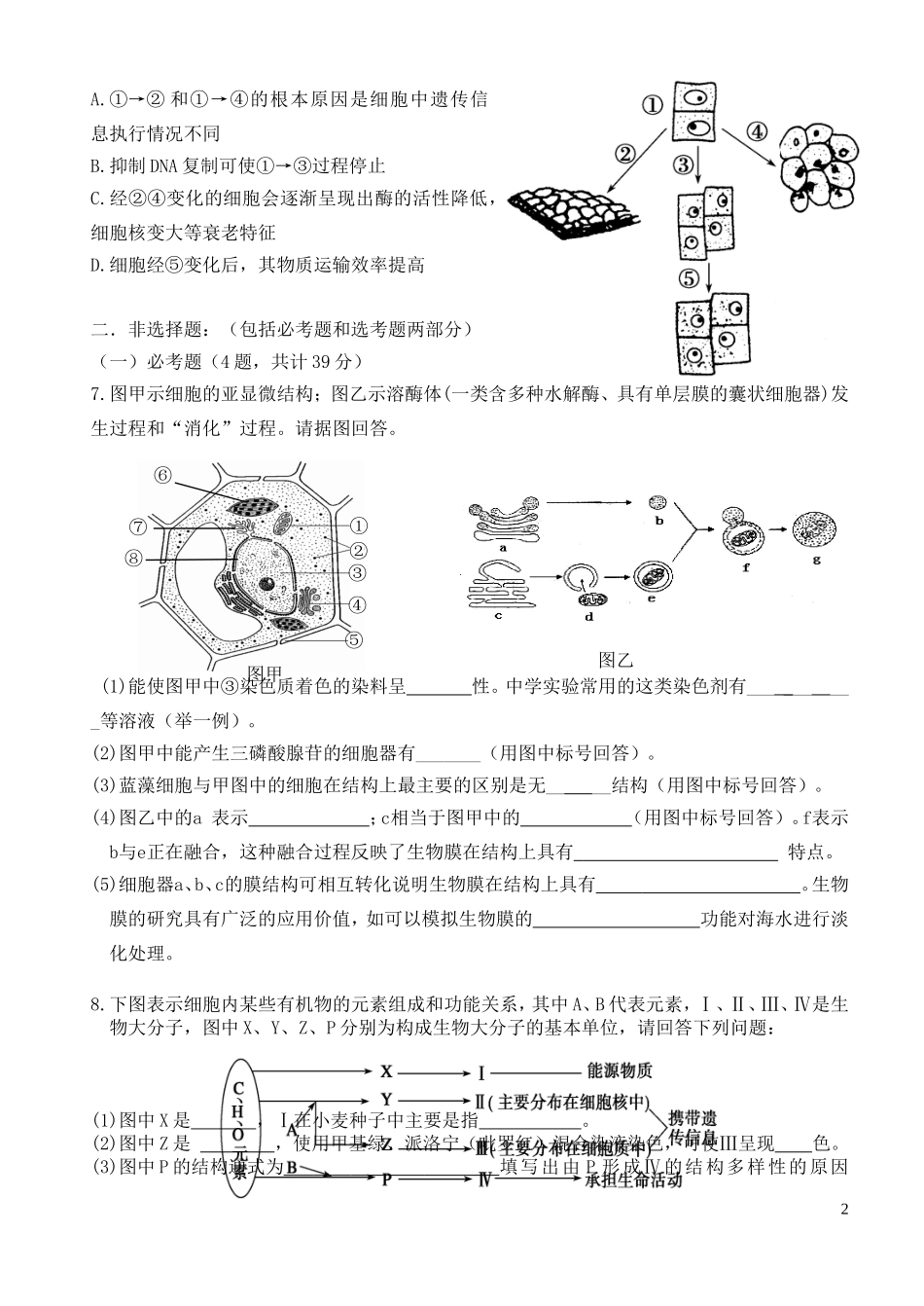 世铿学校高二理班期中考试生物试卷_第2页