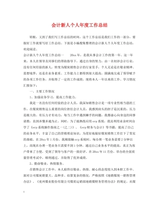会计新人个人年度工作总结