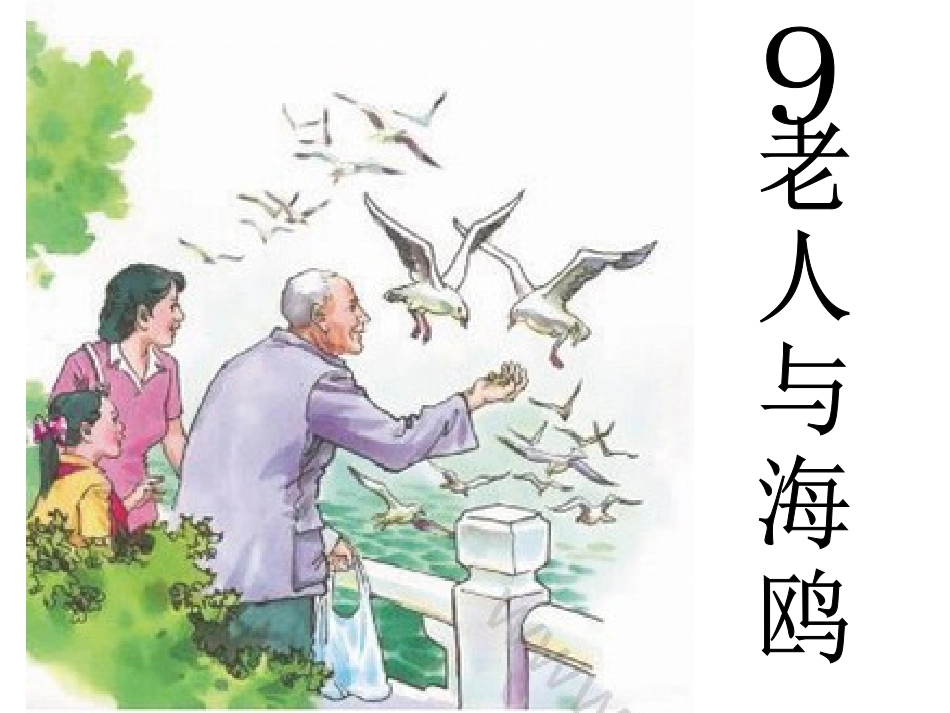 老人与海鸥 (2)_第1页