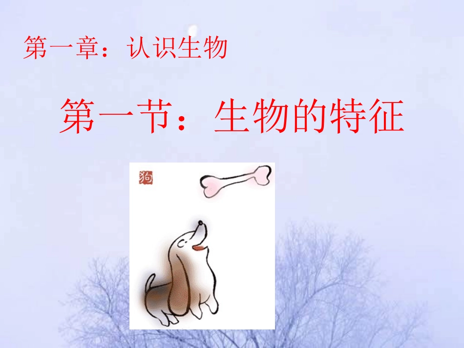 第一节《生物的特征》_第1页