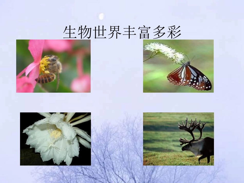 第一节《生物的特征》_第3页