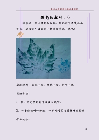 漂亮的拓叶正面