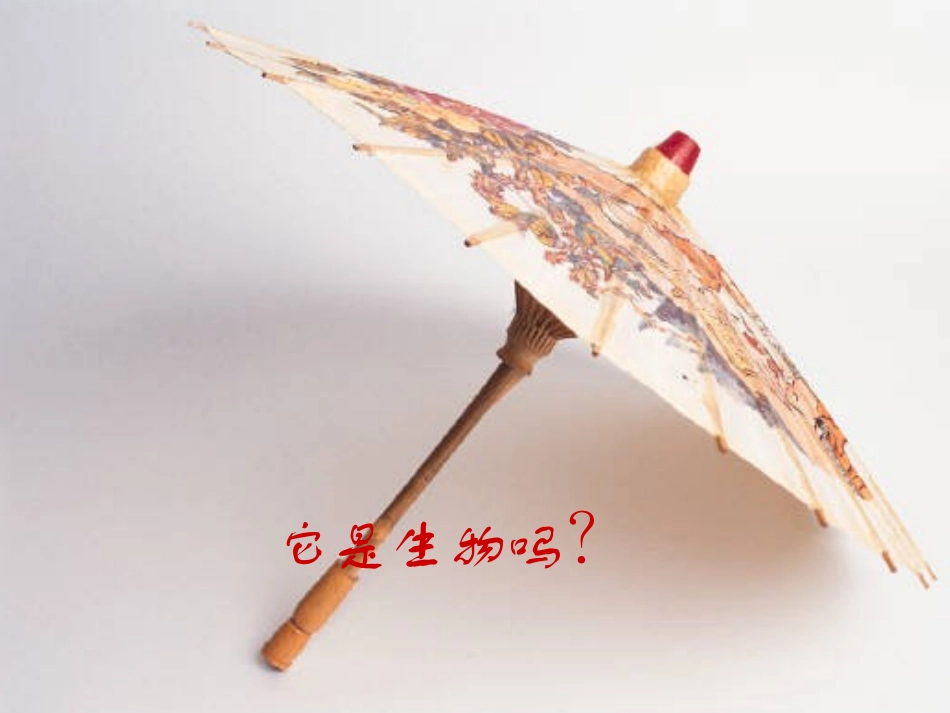 第一节生物的特征（上课）_第3页