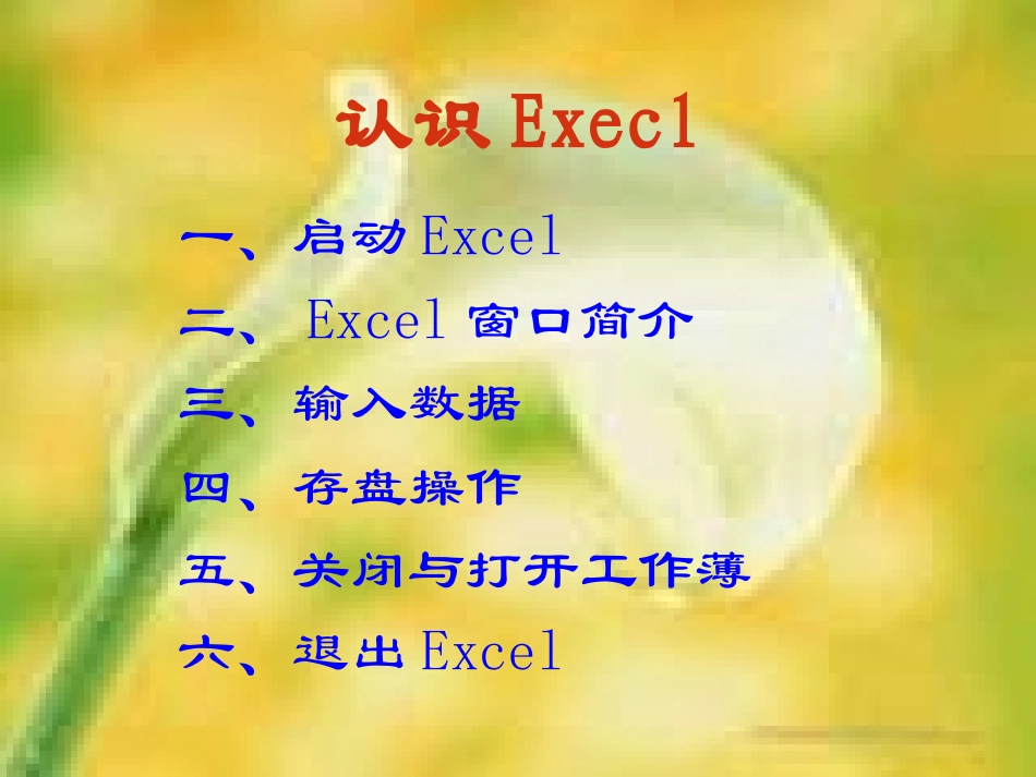 八年级信息技术科认识EXCEl课件_第1页