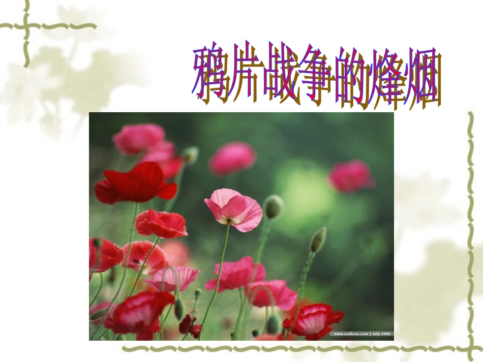 鸦片战争的烽烟 (2)_第1页