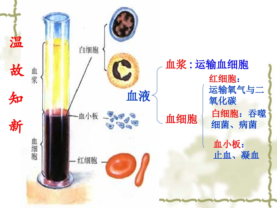 第四节__输血与血型_第2页