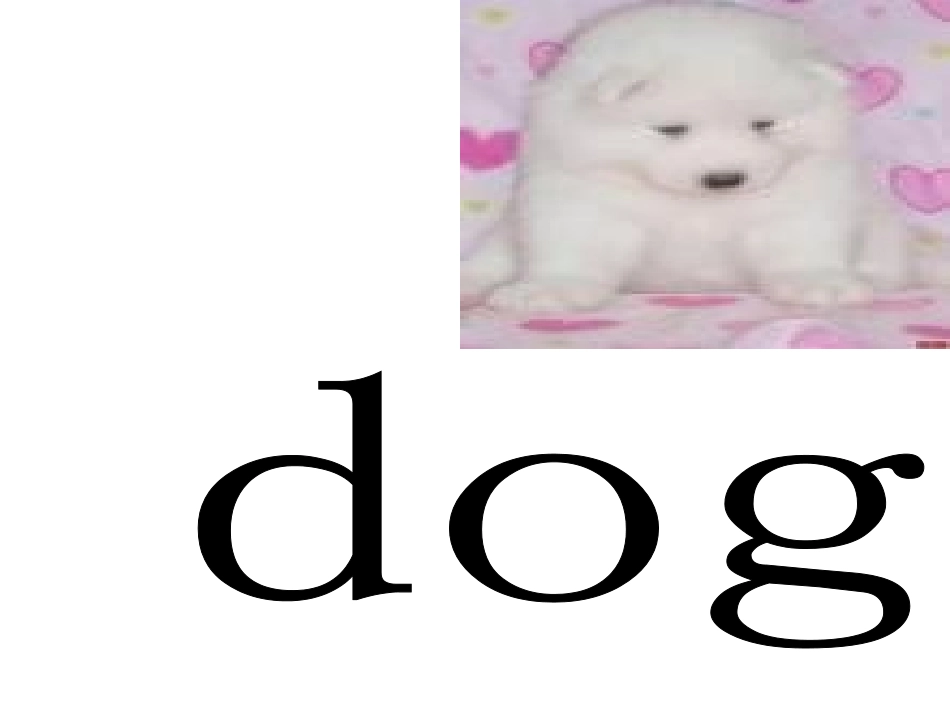 小学英语PPT课件《动物》[1]_第1页