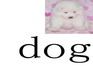 小学英语PPT课件《动物》[1]