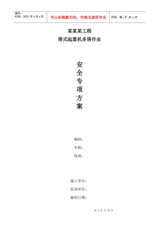 多塔作业安全专项方案