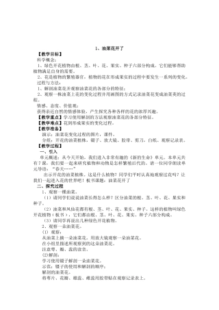 油菜花开了 ()