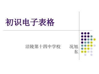 第九课初识电子表格