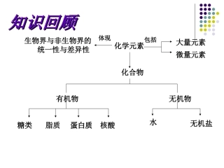 生命活动的主要承担者蛋白质