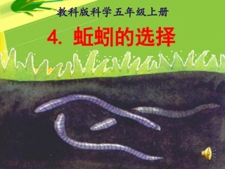 《蚯蚓的选择》