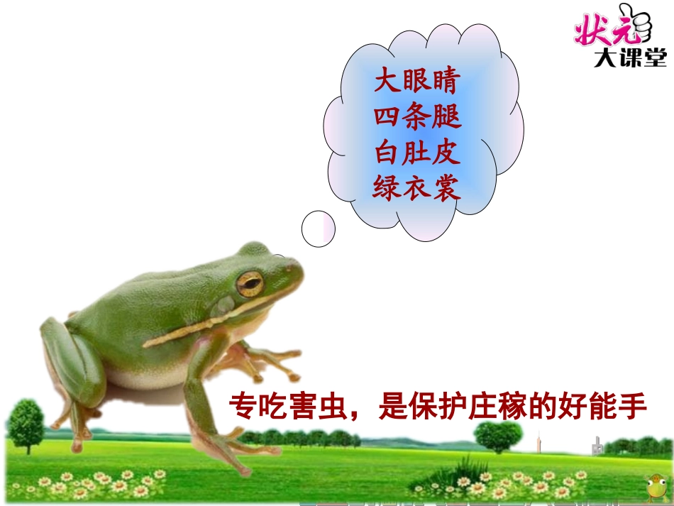 小蝌蚪找妈妈 ()_第3页