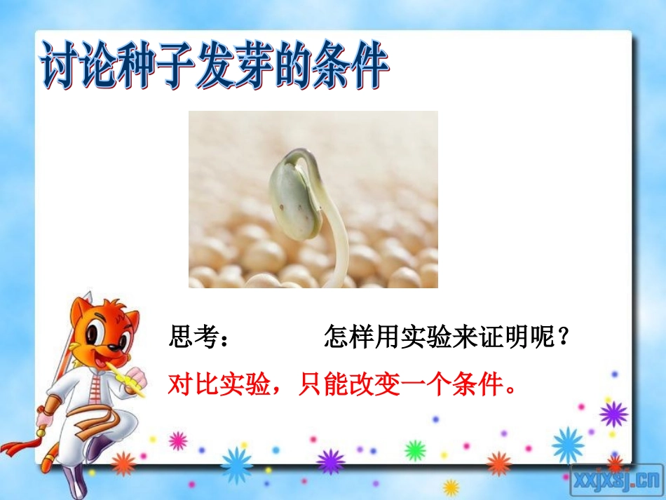 种子发芽实验(一)_第2页