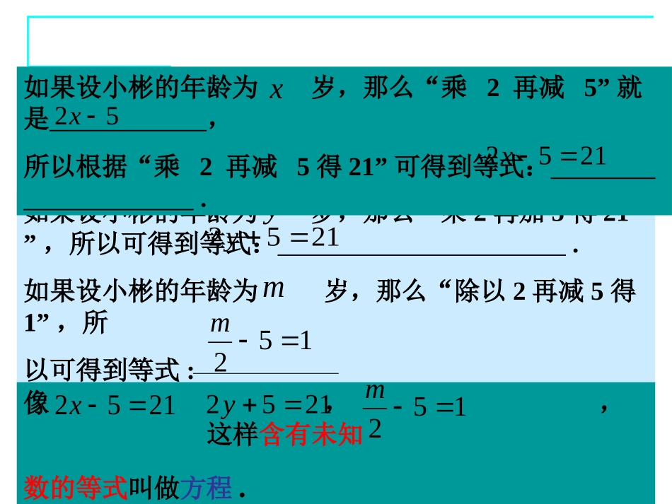 认识一元一次方程 ()_第3页