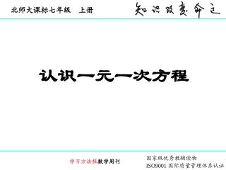 认识一元一次方程 ()