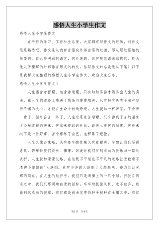 感悟人生小学生作文