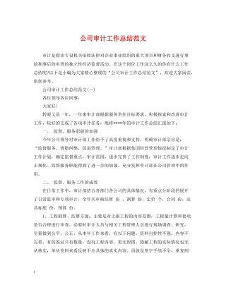公司审计工作总结范文