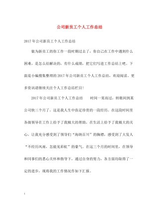 公司新员工个人工作总结2