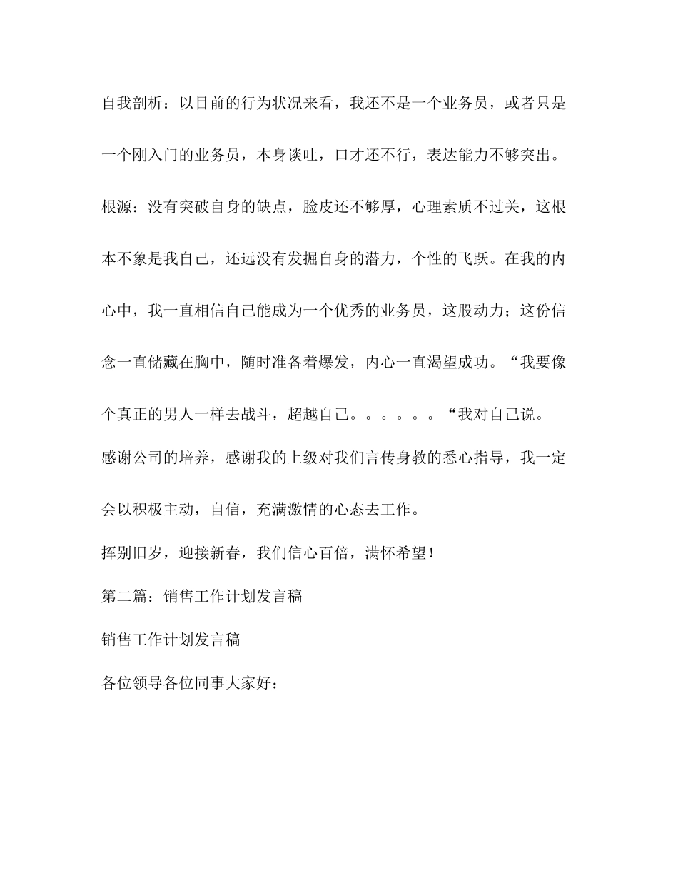 销售工作总结发言稿精选多篇)_第3页