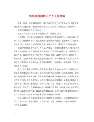 客服试用期转正个人工作总结