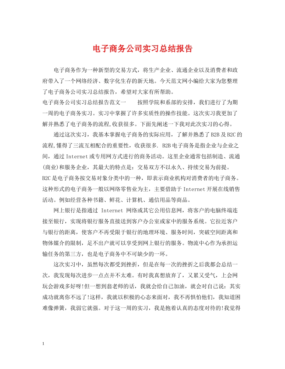 电子商务公司实习总结报告_第1页