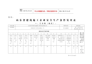 安全许可证检查
