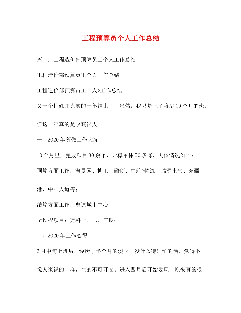 工程预算员个人工作总结_第1页