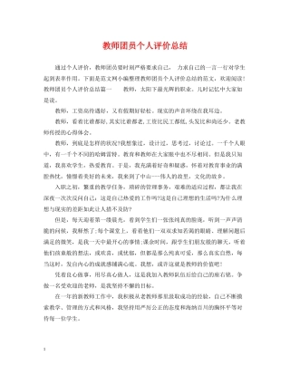 教师团员个人评价总结