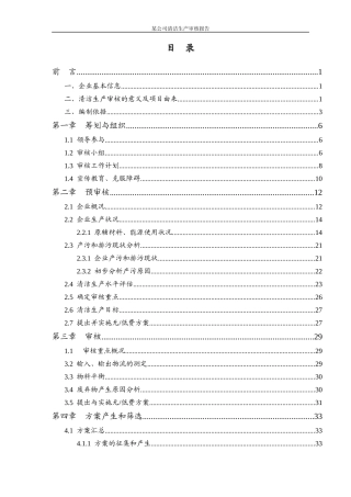 某公司清洁生产审核报告正文