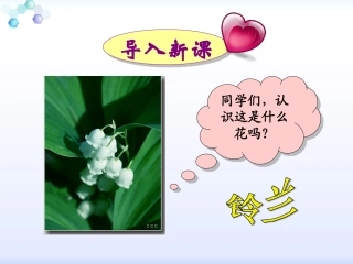 我不是最弱小的 (2)