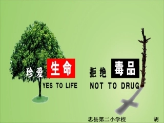 珍爱生命，远离毒品。
