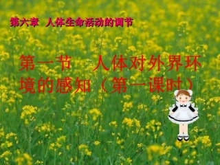 第6章第1节人体对外界环境的感知课件
