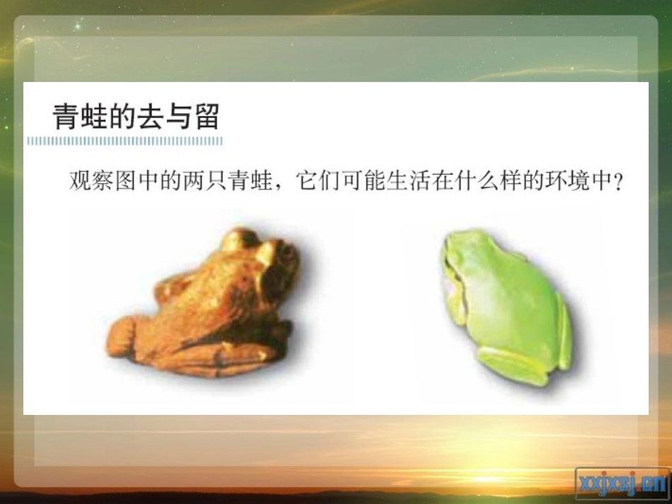 第七节__谁选择了它们_第2页