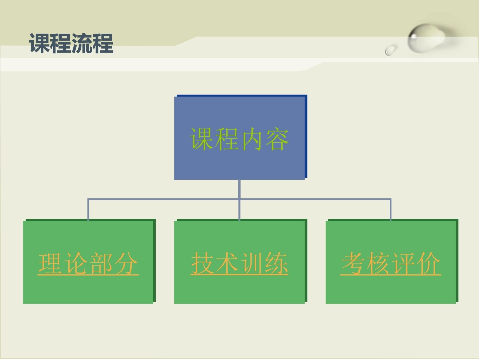 手球训练与技术_第3页