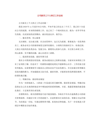 公司新员工个人转正工作总结