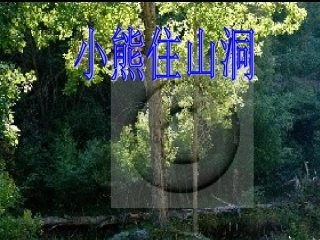 小熊住山洞01