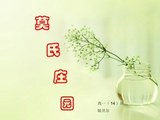陆贝尔莫氏庄园介绍