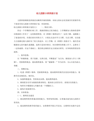 幼儿园新小班班级计划 