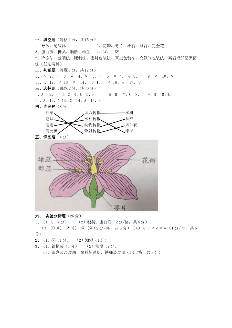 四年级月考答案_第1页