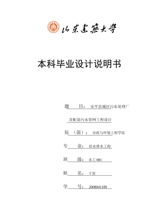 CAST工艺设计说明书