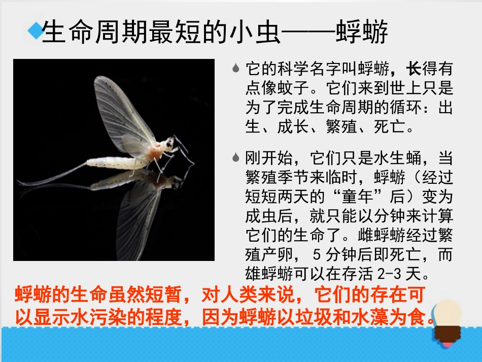-蚕卵里孵出的新生命_第2页