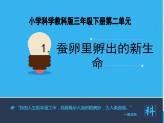 -蚕卵里孵出的新生命